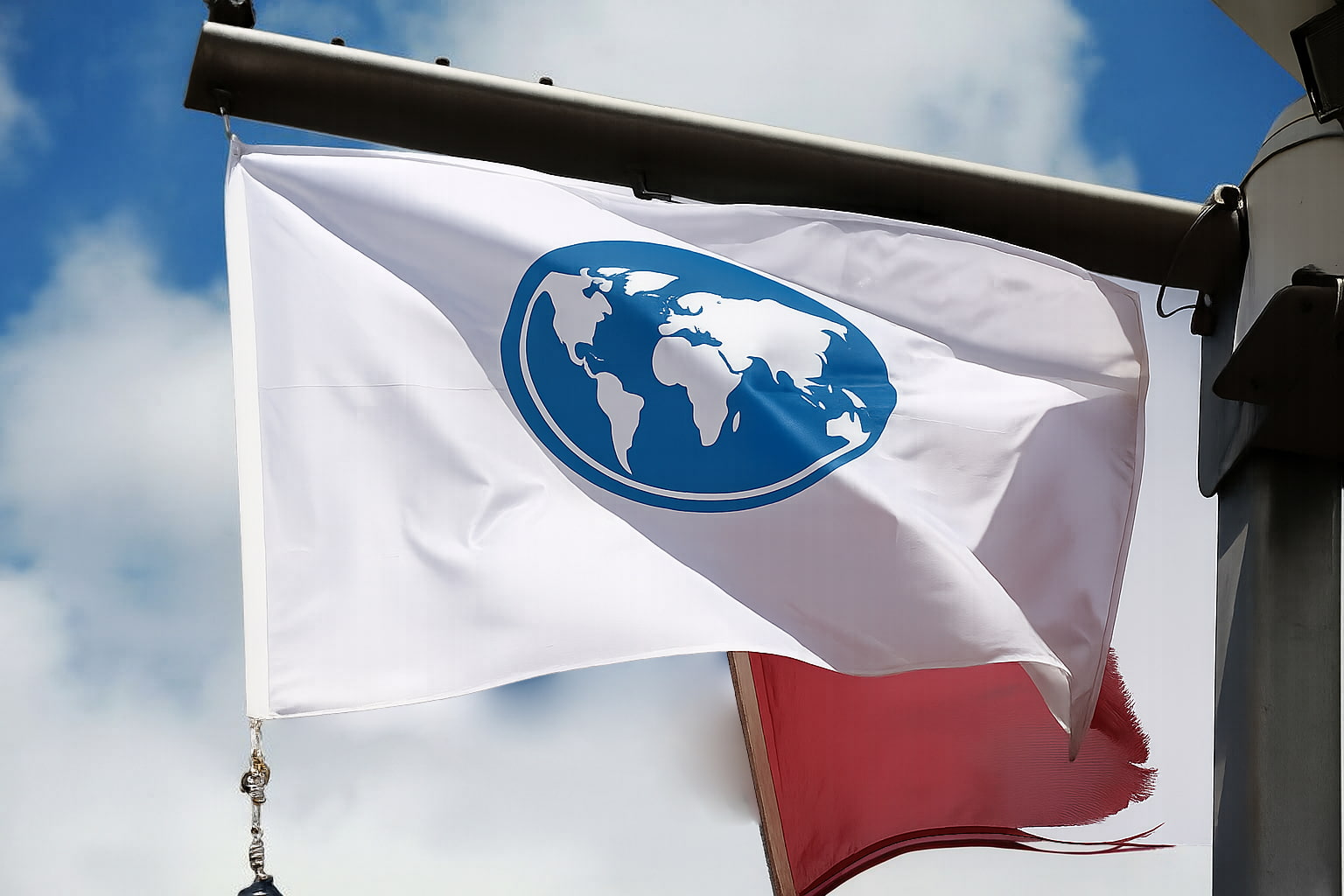 bog flag 1